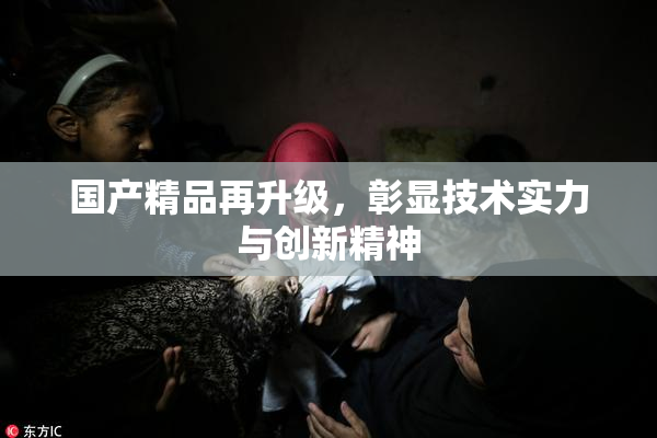 国产精品再升级，彰显技术实力与创新精神