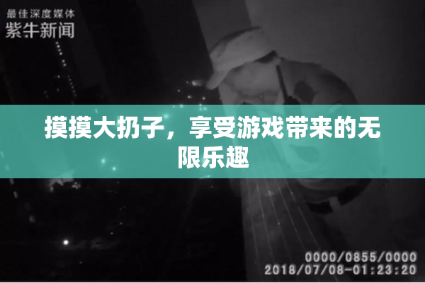 摸摸大扔子，享受游戏带来的无限乐趣