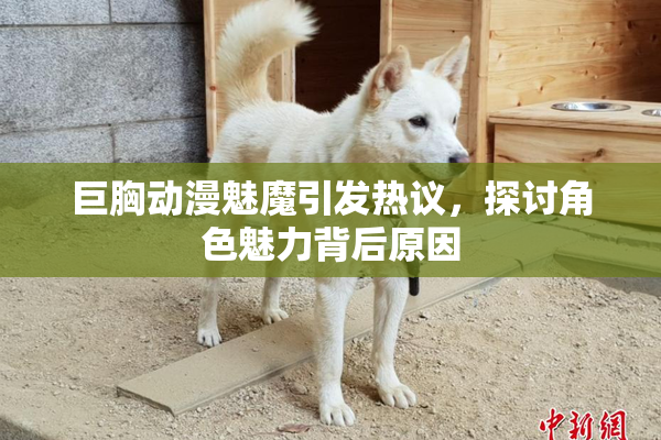 巨胸动漫魅魔引发热议，探讨角色魅力背后原因