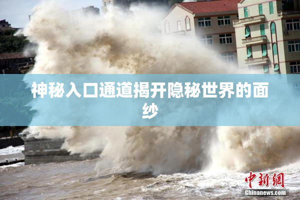 神秘入口通道揭开隐秘世界的面纱