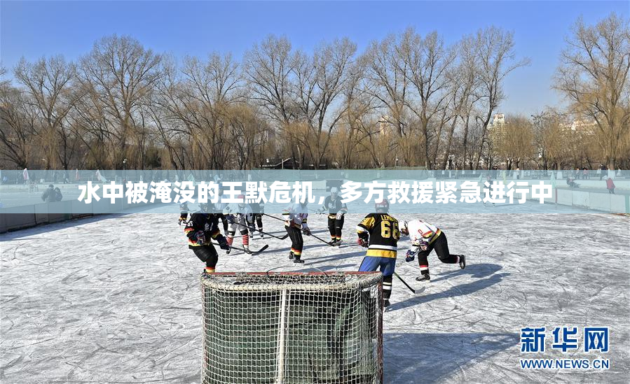水中被淹没的王默危机，多方救援紧急进行中