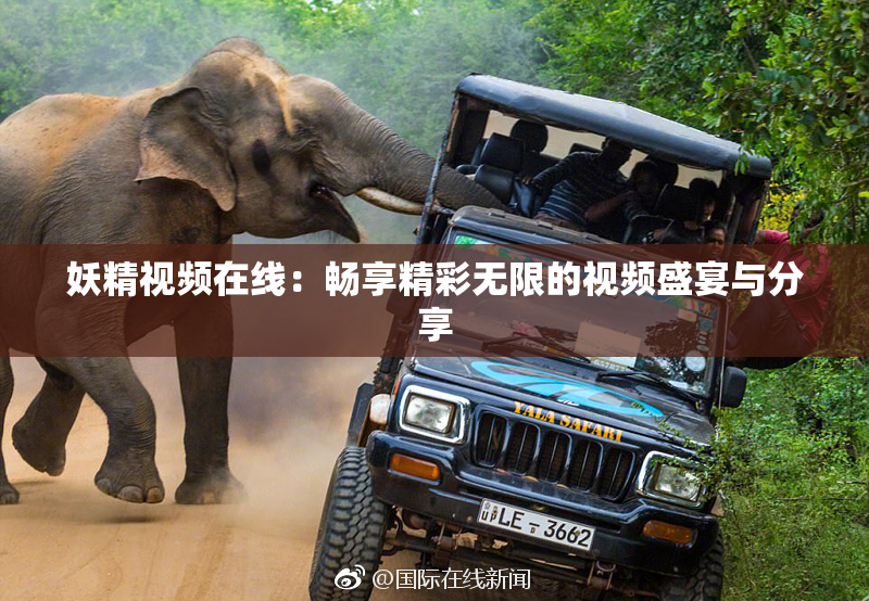 妖精视频在线：畅享精彩无限的视频盛宴与分享