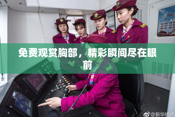 免费观赏胸部，精彩瞬间尽在眼前