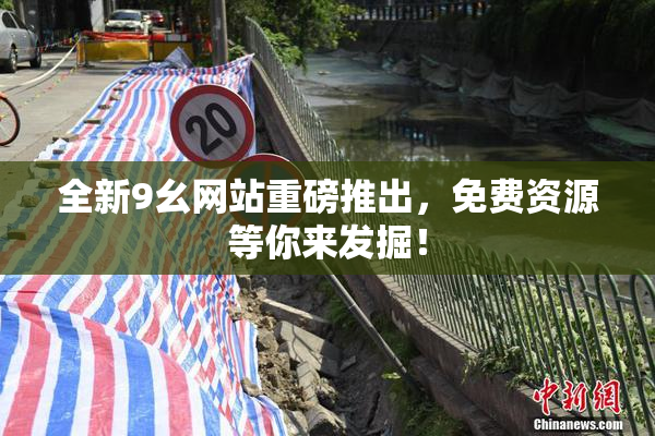 全新9幺网站重磅推出，免费资源等你来发掘！