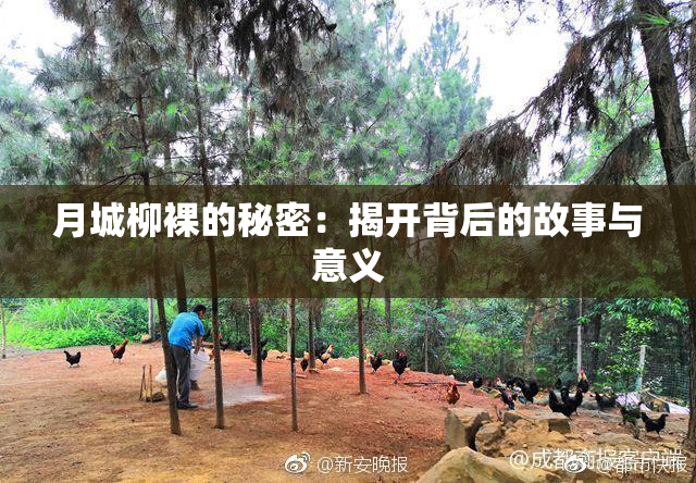 月城柳裸的秘密：揭开背后的故事与意义