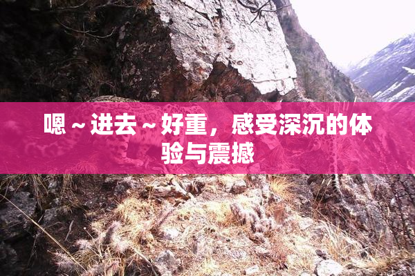 嗯～进去～好重，感受深沉的体验与震撼