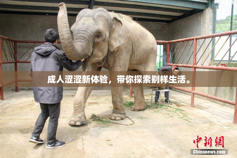 成人涩涩新体验，带你探索别样生活。