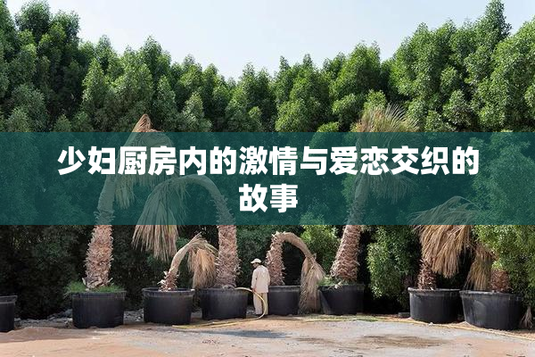 少妇厨房内的激情与爱恋交织的故事