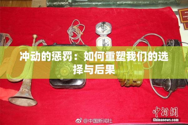 冲动的惩罚：如何重塑我们的选择与后果