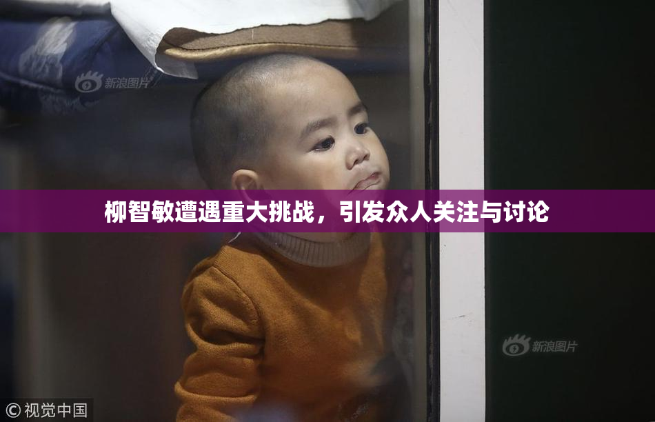 柳智敏遭遇重大挑战，引发众人关注与讨论