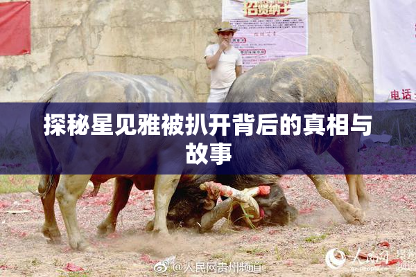 探秘星见雅被扒开背后的真相与故事