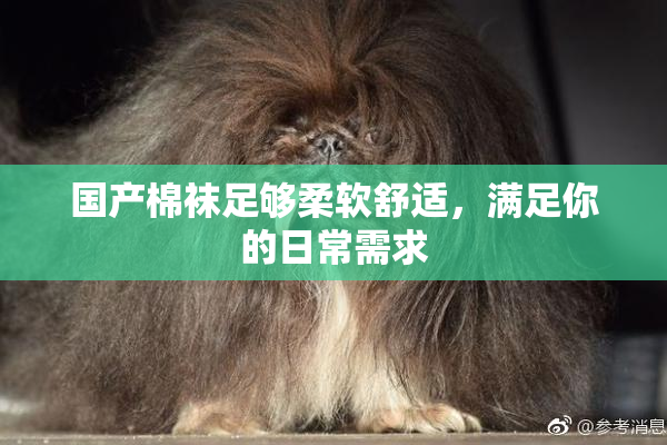 国产棉袜足够柔软舒适，满足你的日常需求