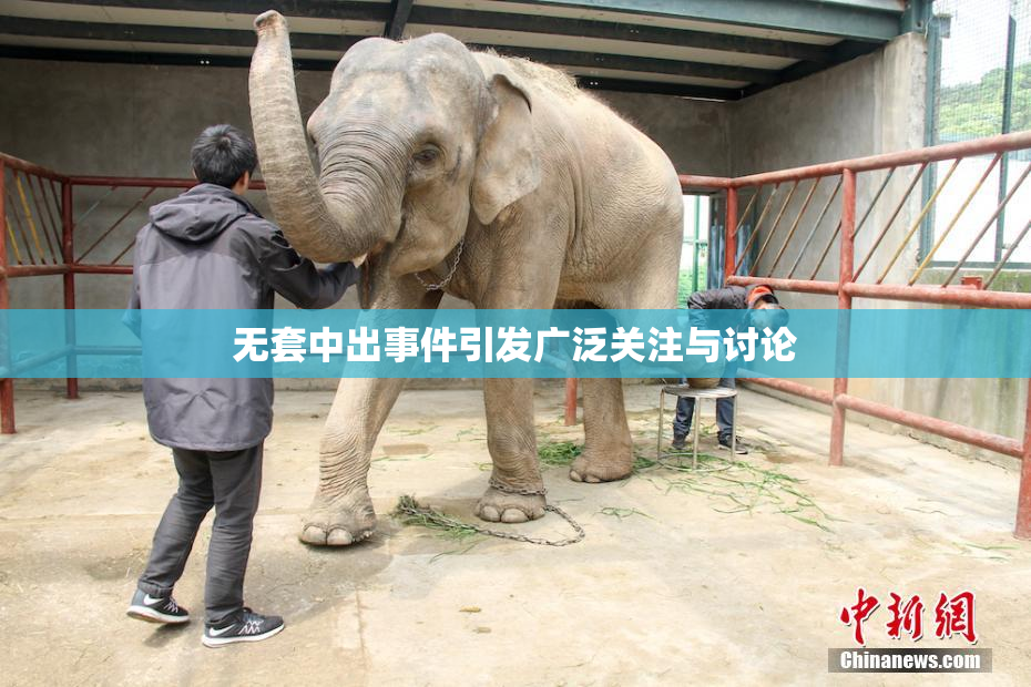 无套中出事件引发广泛关注与讨论