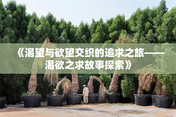 《渴望与欲望交织的追求之旅——渴欲之求故事探索》