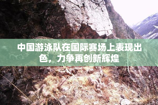 中国游泳队在国际赛场上表现出色，力争再创新辉煌
