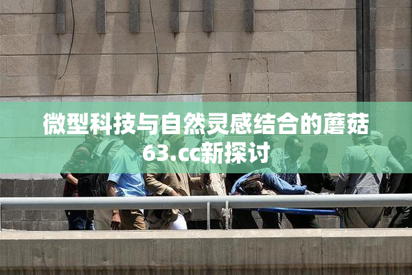 微型科技与自然灵感结合的蘑菇63.㏄新探讨