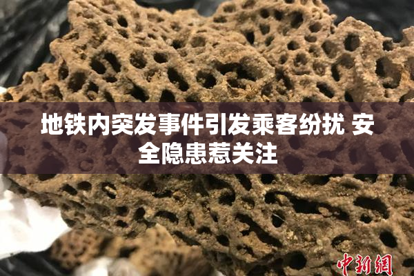 地铁内突发事件引发乘客纷扰 安全隐患惹关注