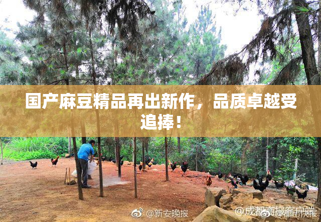 国产麻豆精品再出新作，品质卓越受追捧！