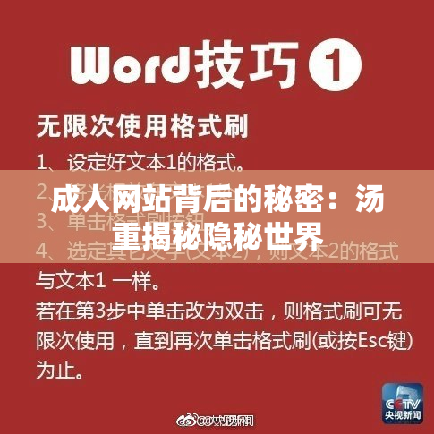 成人网站背后的秘密：汤重揭秘隐秘世界