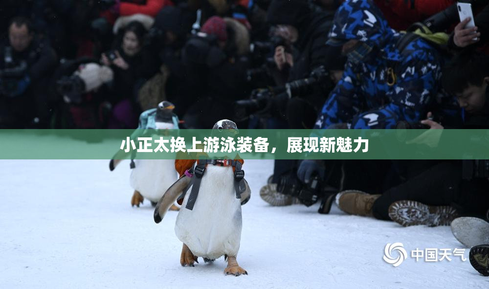 小正太换上游泳装备，展现新魅力