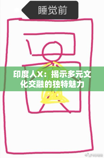 印度人X：揭示多元文化交融的独特魅力