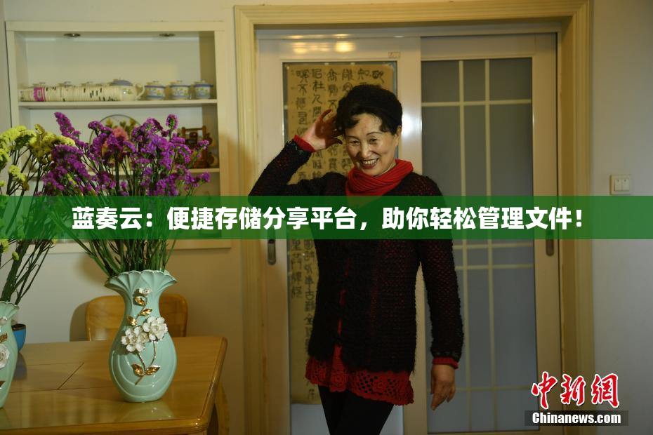 蓝奏云：便捷存储分享平台，助你轻松管理文件！