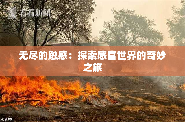 无尽的触感：探索感官世界的奇妙之旅