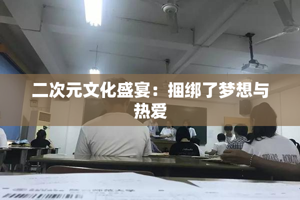二次元文化盛宴：捆绑了梦想与热爱