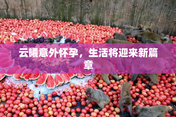 云曦意外怀孕，生活将迎来新篇章