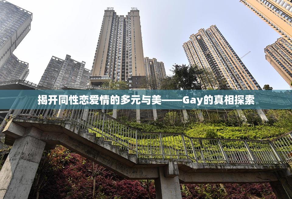 揭开同性恋爱情的多元与美——Gay的真相探索
