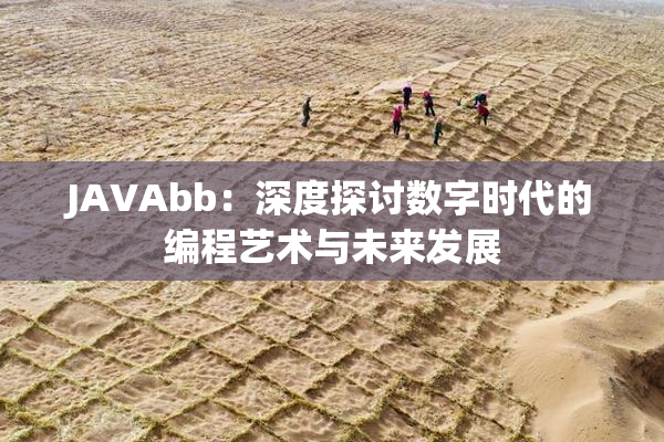 JAVAbb：深度探讨数字时代的编程艺术与未来发展
