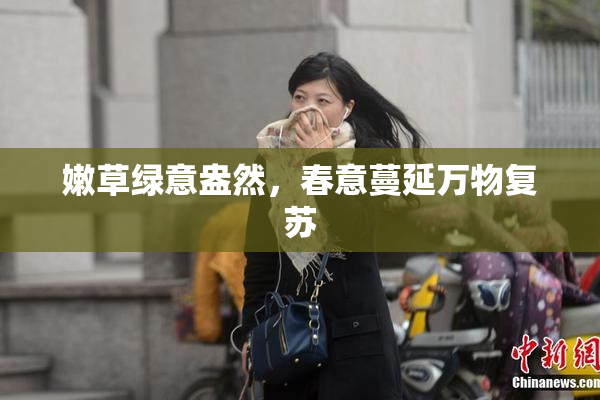 嫩草绿意盎然，春意蔓延万物复苏