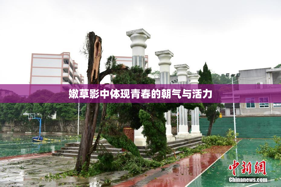 嫩草影中体现青春的朝气与活力