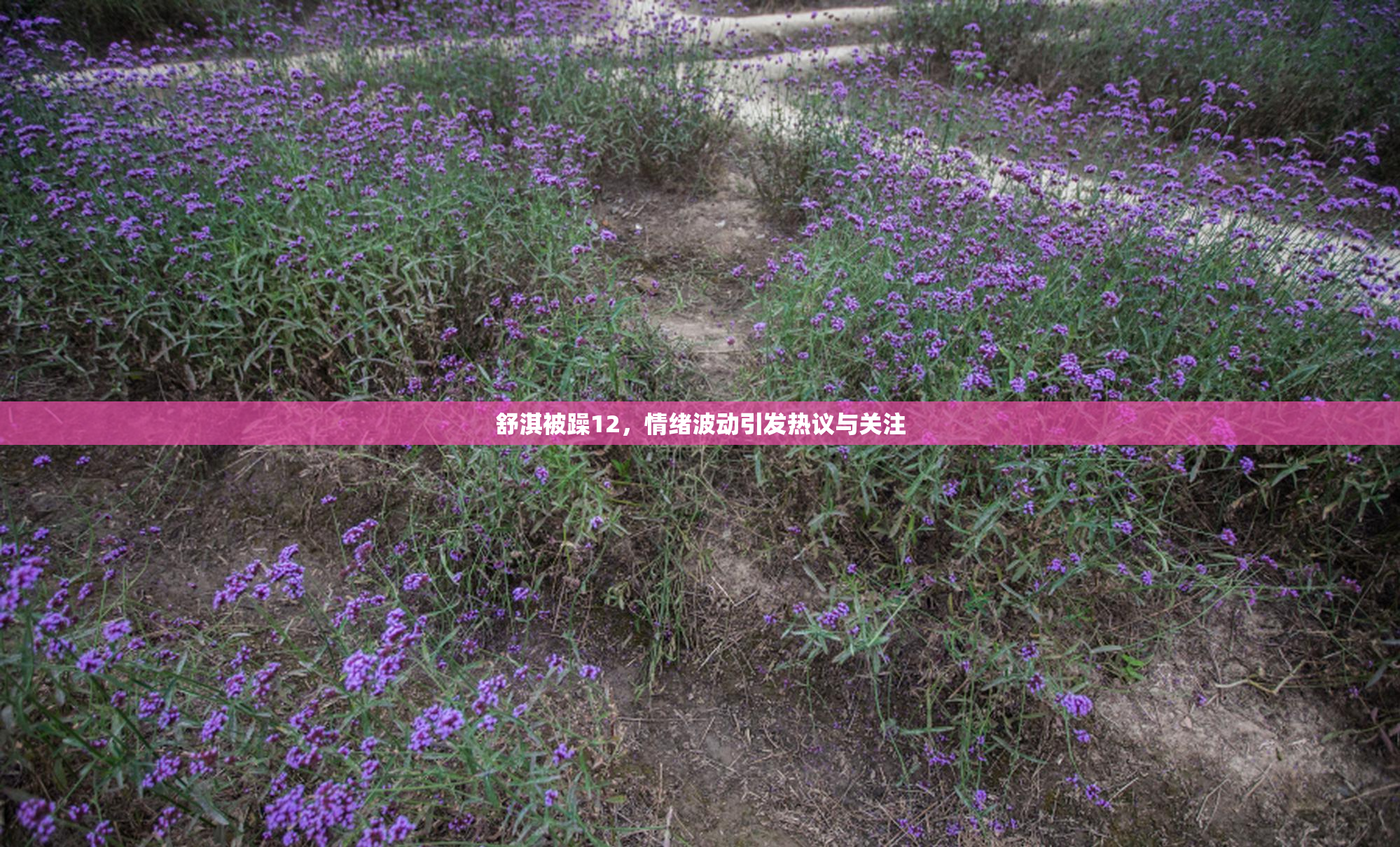 舒淇被躁12，情绪波动引发热议与关注