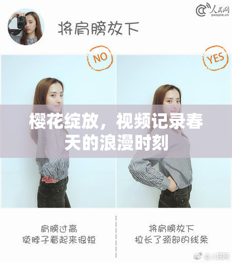 樱花绽放，视频记录春天的浪漫时刻