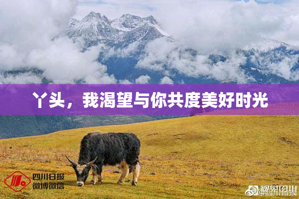 丫头，我渴望与你共度美好时光