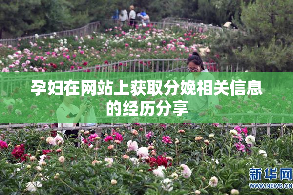 孕妇在网站上获取分娩相关信息的经历分享