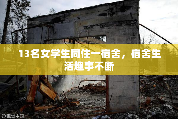 13名女学生同住一宿舍，宿舍生活趣事不断