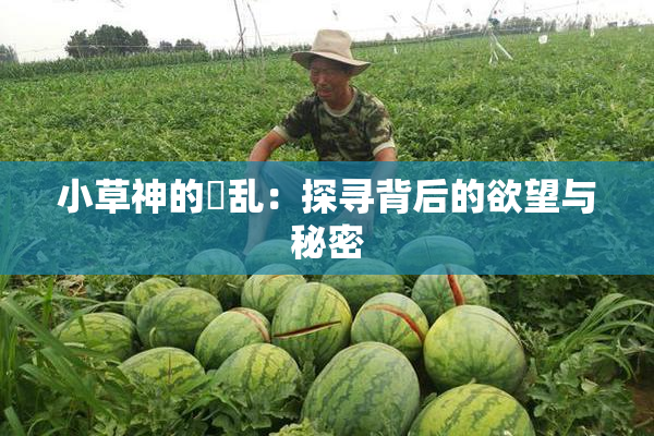 小草神的婬乱：探寻背后的欲望与秘密