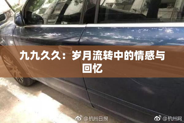九九久久：岁月流转中的情感与回忆