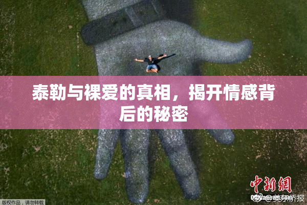 泰勒与裸爱的真相，揭开情感背后的秘密