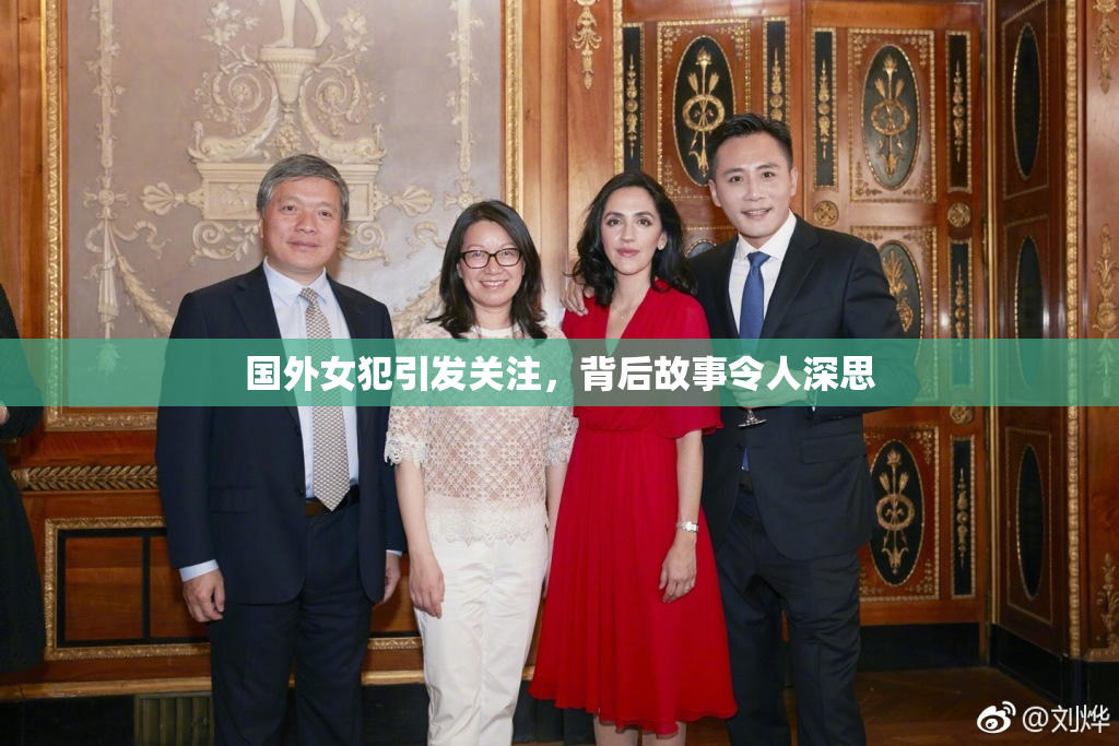 国外女犯引发关注，背后故事令人深思
