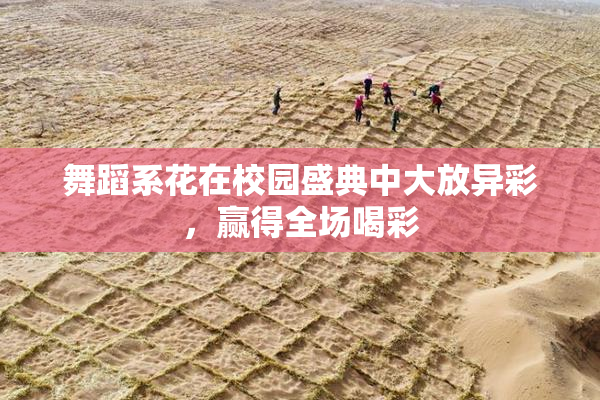 舞蹈系花在校园盛典中大放异彩，赢得全场喝彩
