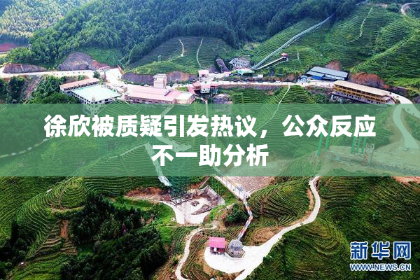 徐欣被质疑引发热议，公众反应不一助分析