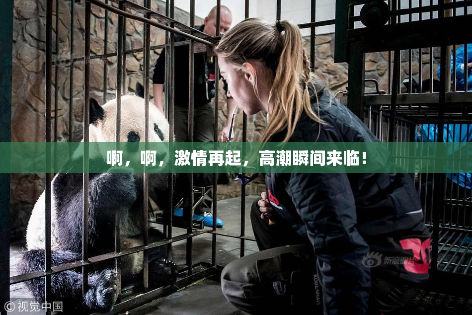 啊，啊，激情再起，高潮瞬间来临！