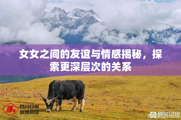 女女之间的友谊与情感揭秘，探索更深层次的关系