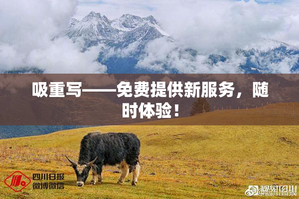 吸重写——免费提供新服务，随时体验！