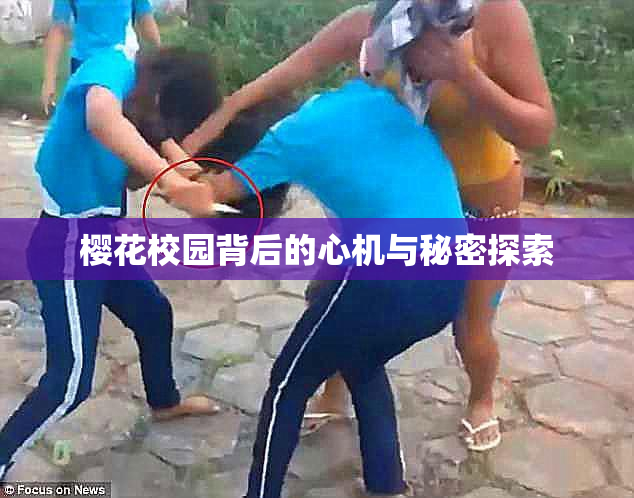 樱花校园背后的心机与秘密探索