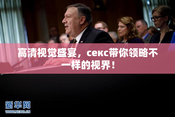 高清视觉盛宴，ceкс带你领略不一样的视界！