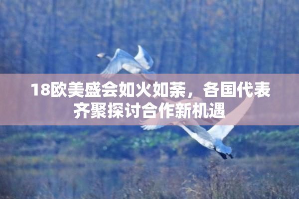 18欧美盛会如火如荼，各国代表齐聚探讨合作新机遇